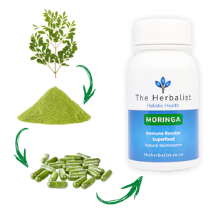 Elevate Your Natural Potential